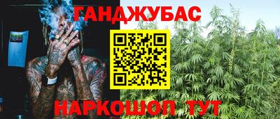 индика Бийск