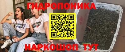 индика Бийск
