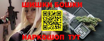 индика Бийск