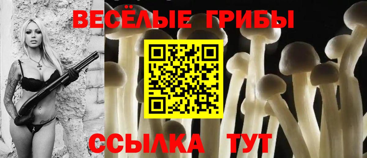 Галлюциногенные грибы GOLDEN TEACHER  Вход с VPN  Керчь 